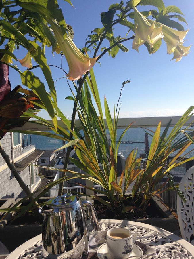 Donna'S Bed & Breakfast White Rock Eksteriør bilde